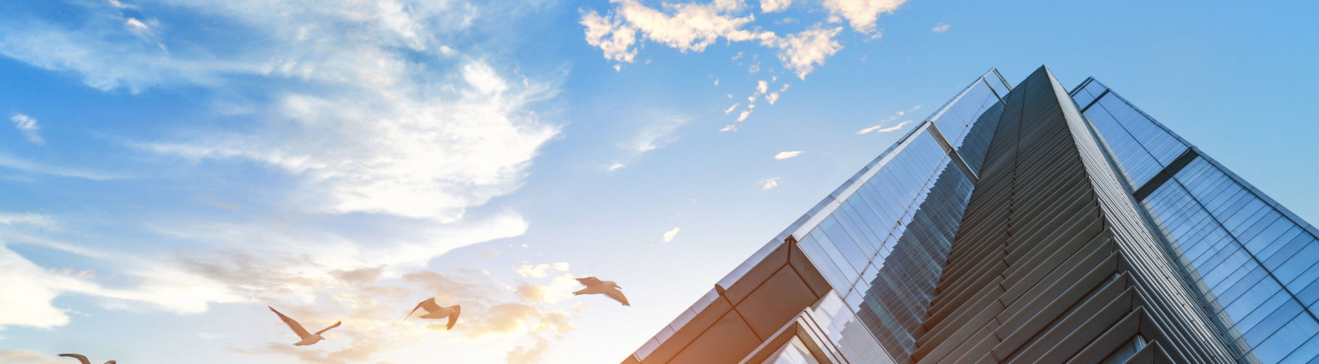 私たちについて